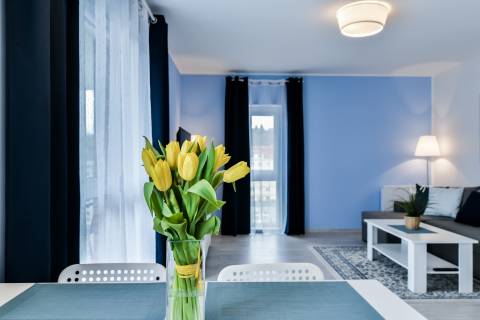 LTC - Apartments Malczewskiego