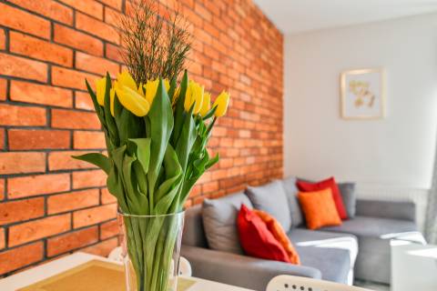 LTC - Apartments Malczewskiego