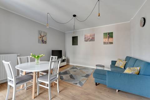 Blue Mandarin Garden Gates