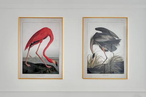 Blue Mandarin Apartments