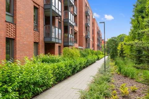 Blue Mandarin Apartments
