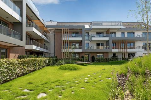 Blue Mandarin Apartments