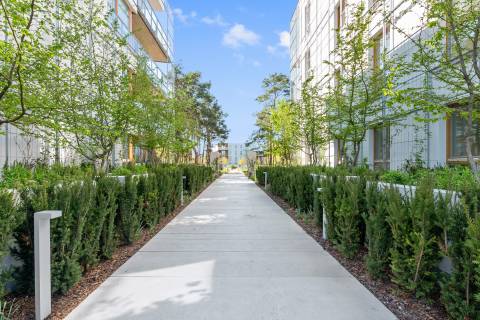 Blue Mandarin Apartments