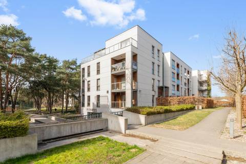 Blue Mandarin Apartments