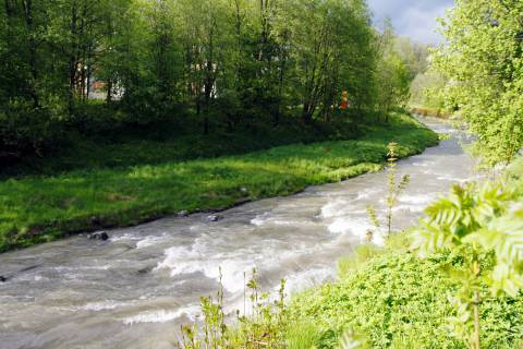Apartament Zborowski