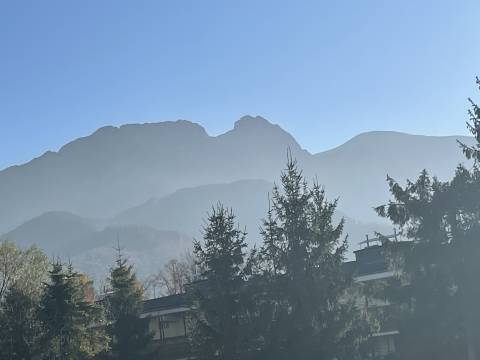 Apartament Zborowski